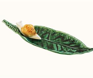 Folha Nespereira c/ Caracol