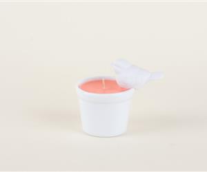 Vaso com Passarinho Vela - Coral