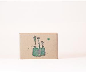 Sabonete de Rosmaninho e Mel - Exfoliação