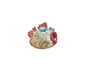 Peixe Balão 