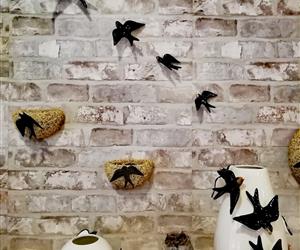 Ambiente - Entrada - 5