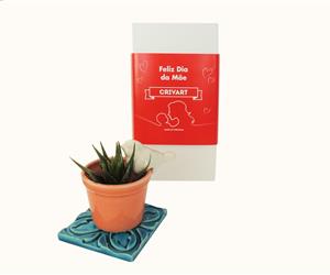 AMOR NUMA CAIXA - MÃE 