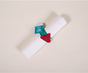 Argola de Guardanapo