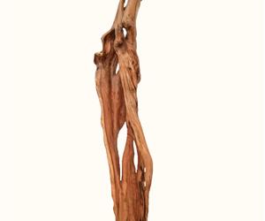 Escultura Raiz de Oliveira - Única
