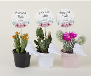 Vasos com Passarinho