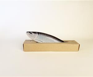 Sardinhas Coloridas - Personalizáveis