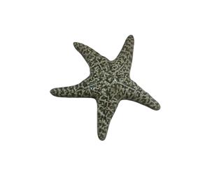 Estrela-do-Mar S - Verde