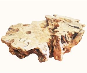 Mesa Raiz de Oliveira - Única