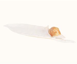 Folha Nespereira c/ Caracol